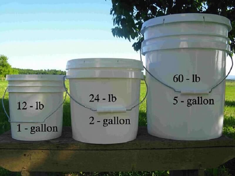 How Much Does 5 Gallon Of Paint Cover 