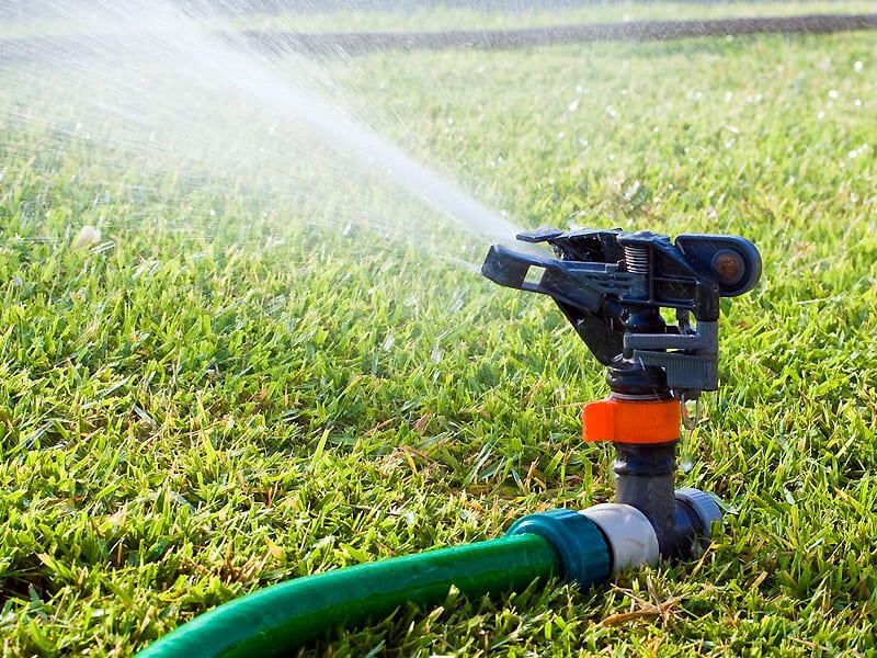 How To Stop Dogs Chewing Sprinklers