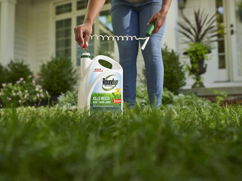 what do golf courses use to kill weeds