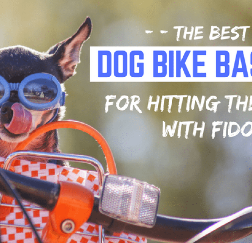 dog bike basket with cover