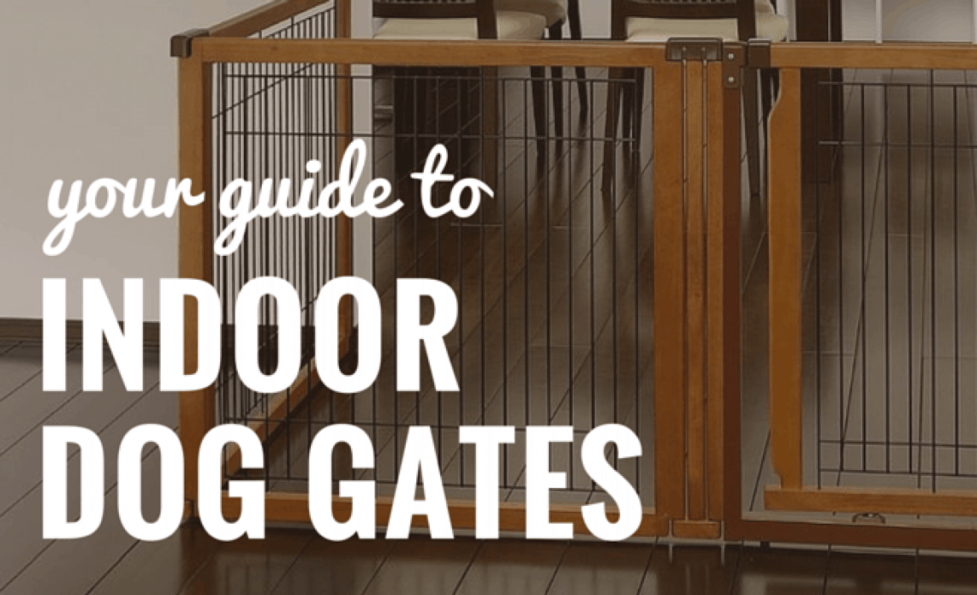 7 Best Indoor Dog Gates 2020 Reviews Top Dog Gates For Home