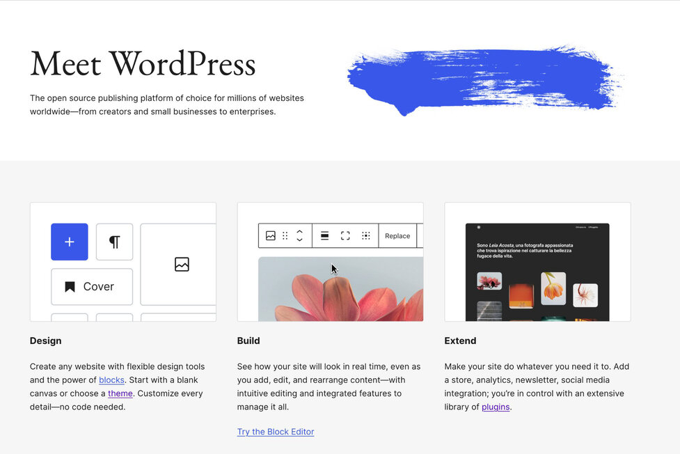 Wordpress Launch Tool For Businesses: Boost Growth Fast