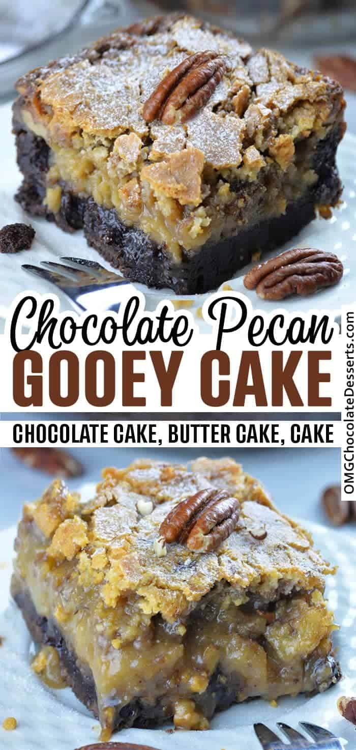 Chocolate Pecan Ooey Gooey Butter Cake