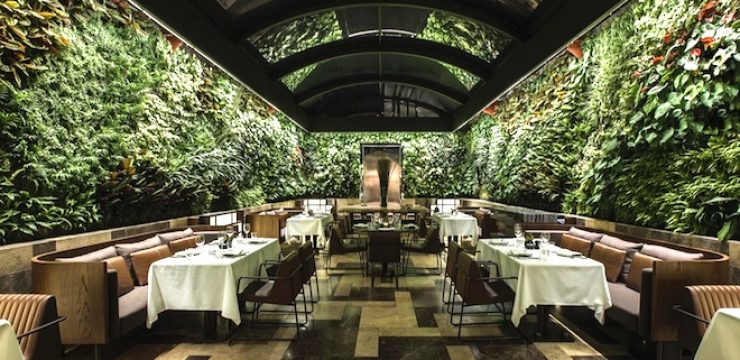 Vertical Garden Archives Green Prophet
