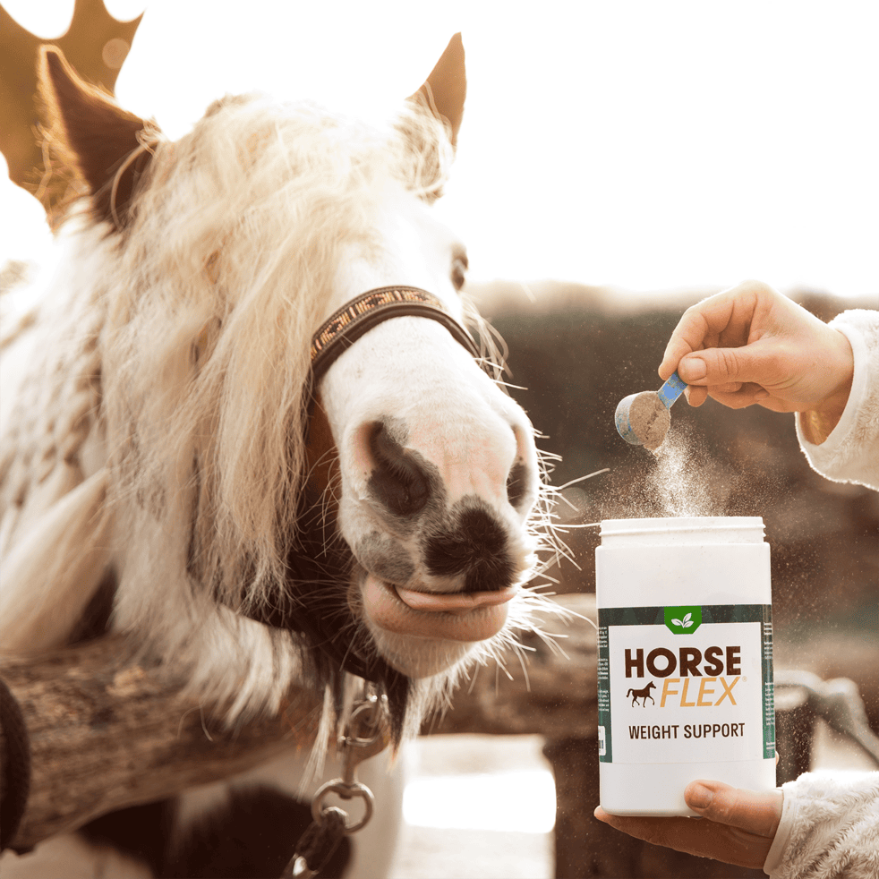 l carnitine directions use HorseFlex Weight Support