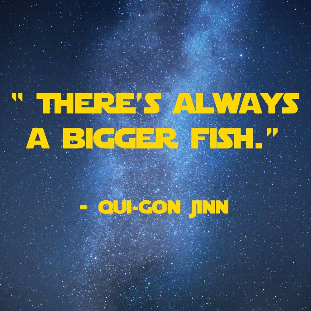 QUI GON JINN QUOTES –