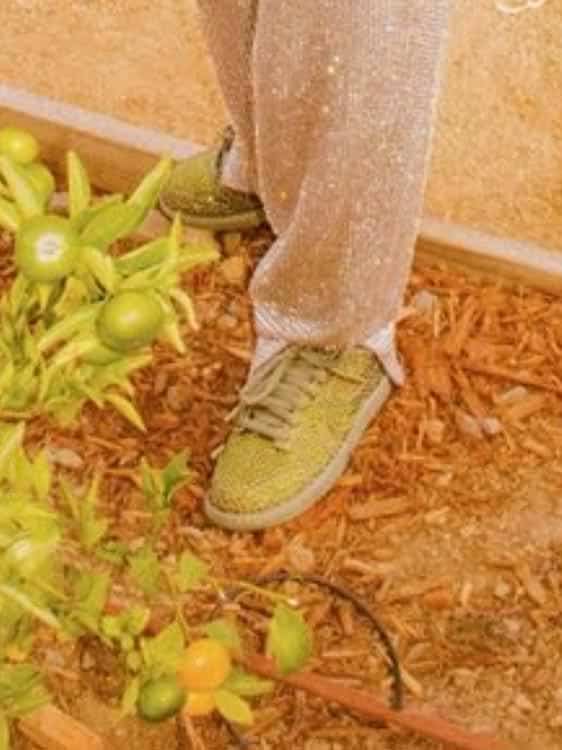 cactus plant flea market travis