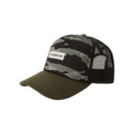 Gorra Quiksilver Pidgeon Chicken Trucker