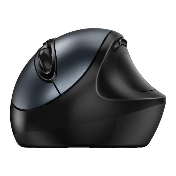 Mouse Genius Ergo 8300S