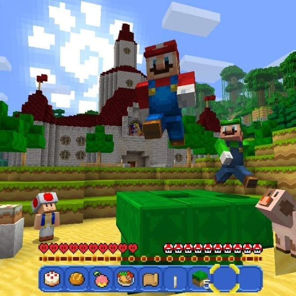 Nintendo Minecraft Moj