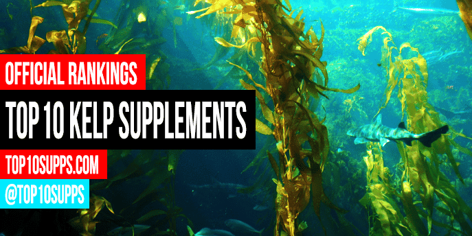 best kelp supplement for dogs