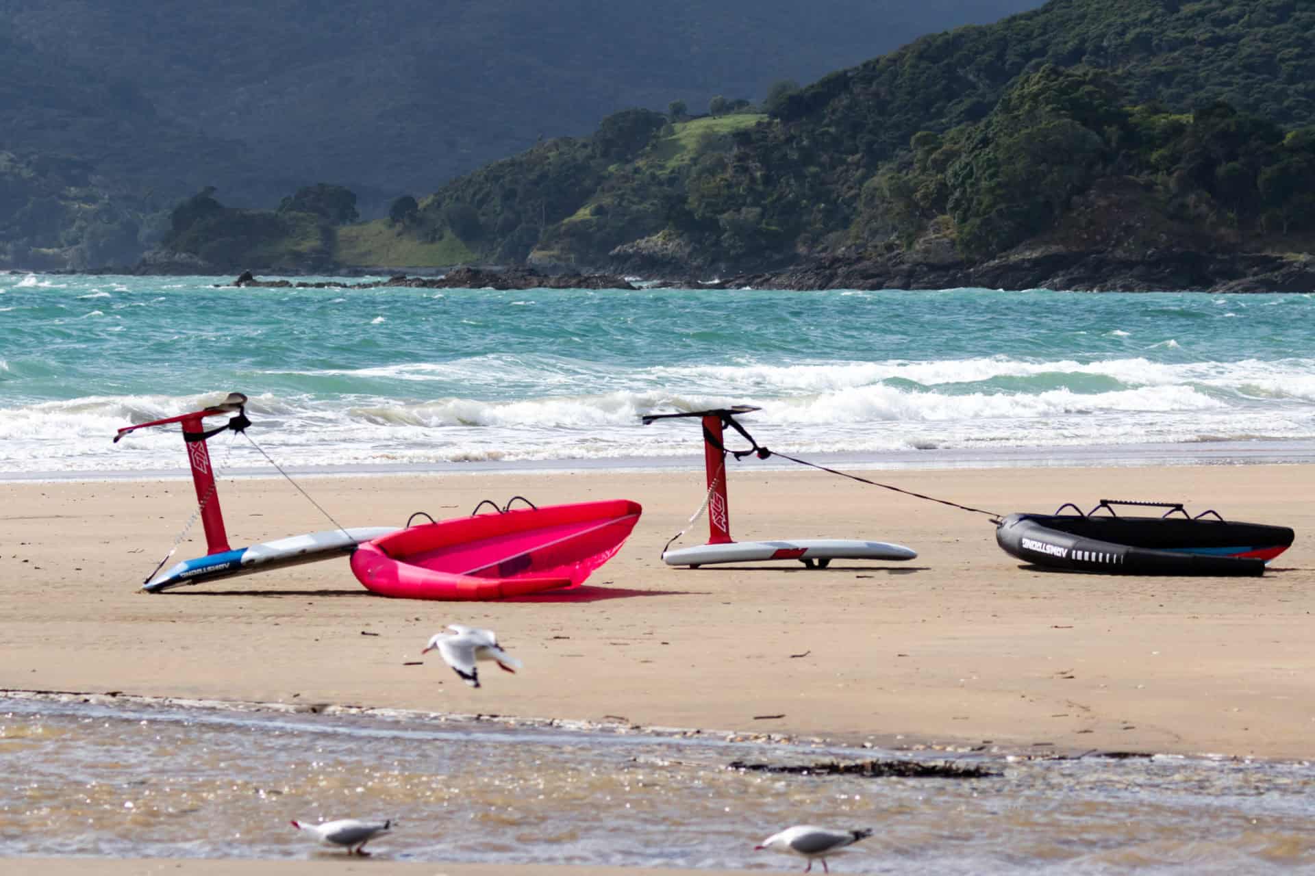 Wingfoil on sandy Northland beach