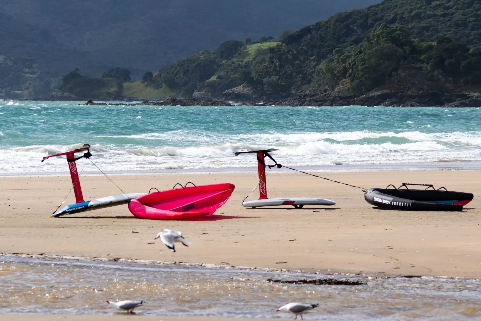 Wingfoil on sandy Northland beach