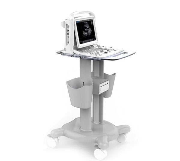 Chison Eco 3 Expert Ultraschallgerät