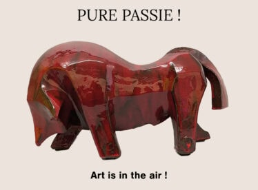 Art is in the Air bij Anita Fleerackers © Staf Campforts - Valentijnstentoonstelling