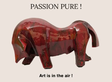 Art is in the Air chez Anita Fleerackers © Staf Campforts - Exposition Valentine