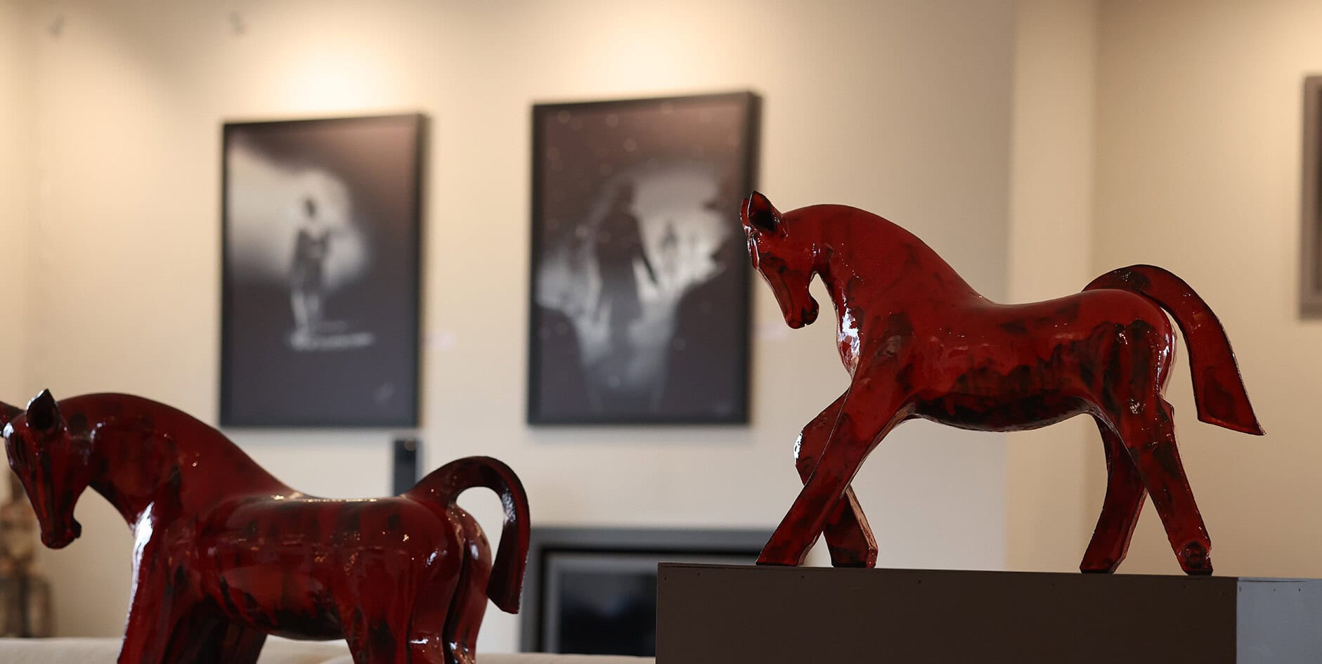 © Anita Fleerackers Galerie Anita Fleerackers impressie 14 © Anita Fleerackers