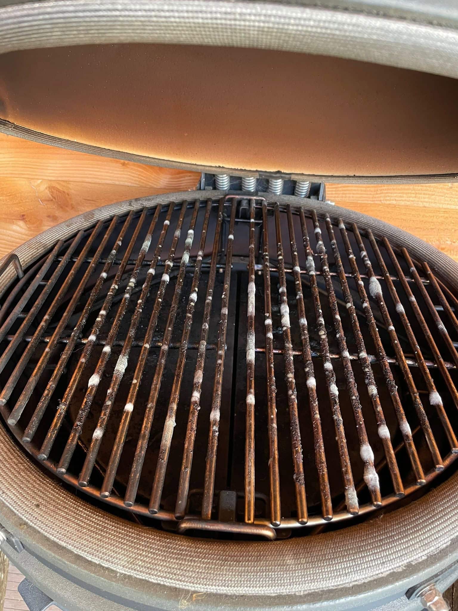 Schimmel in mijn kamado BBQ, wat nu?