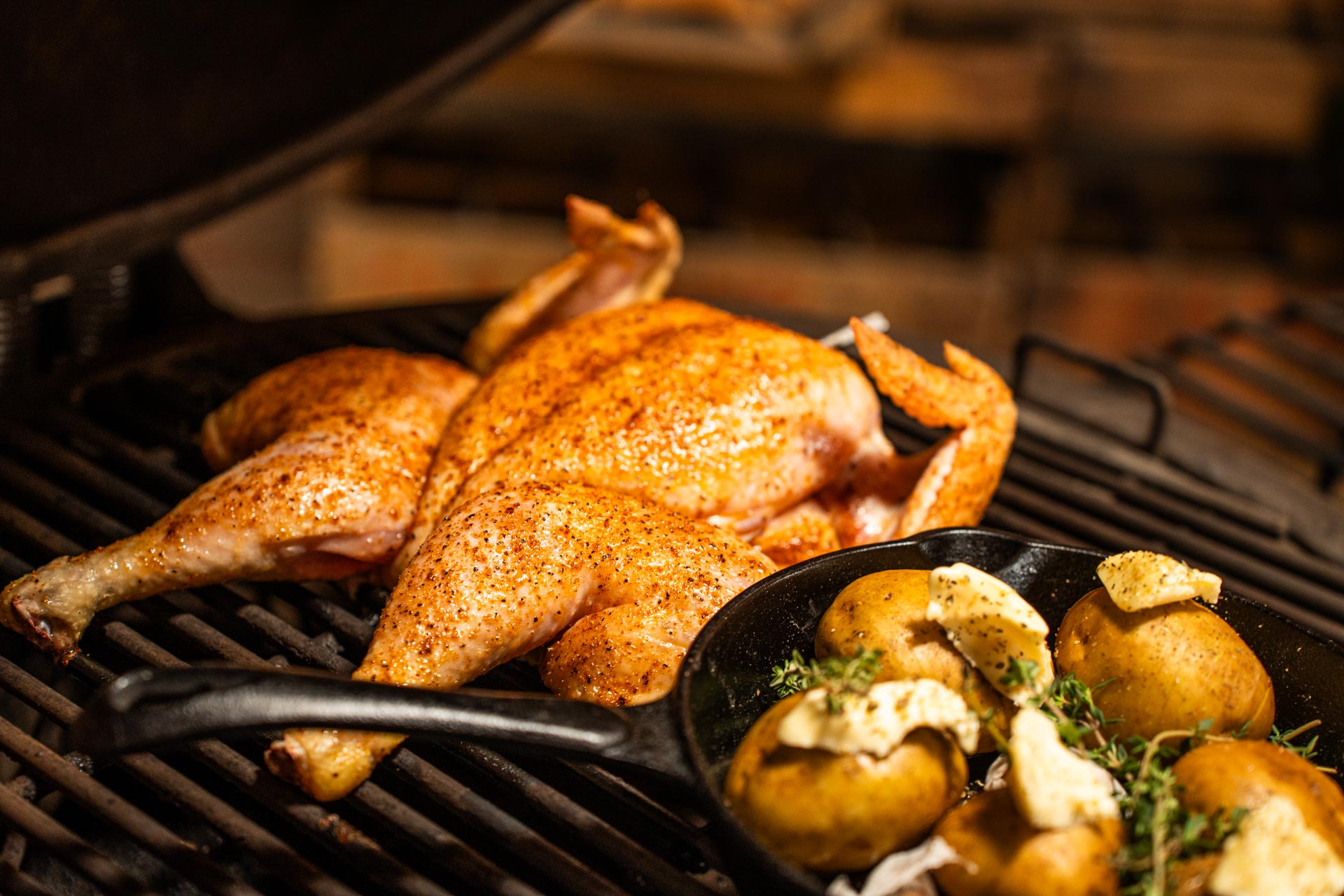 Roadkill chicken