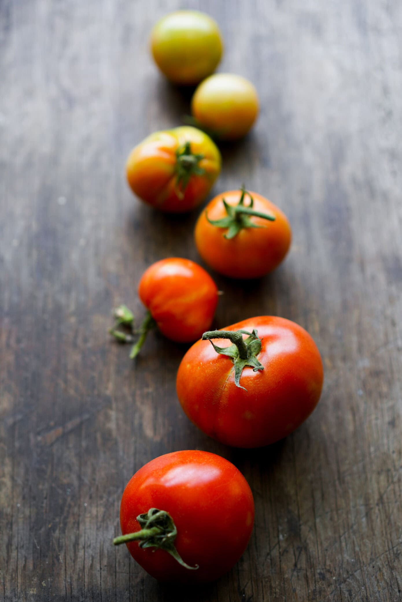 how to grow heirloom tomatoes in a pot