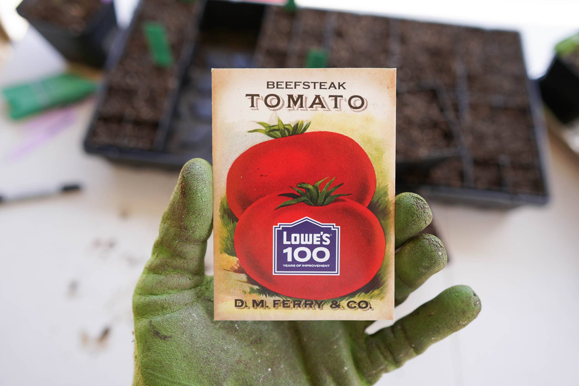 how to grow heirloom tomatoes in a pot