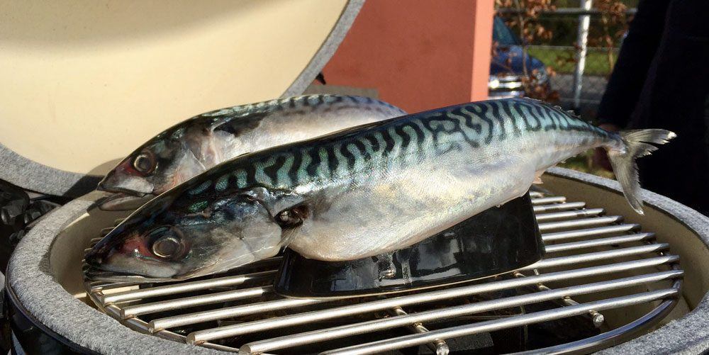 Basistechniek: Koud roken
