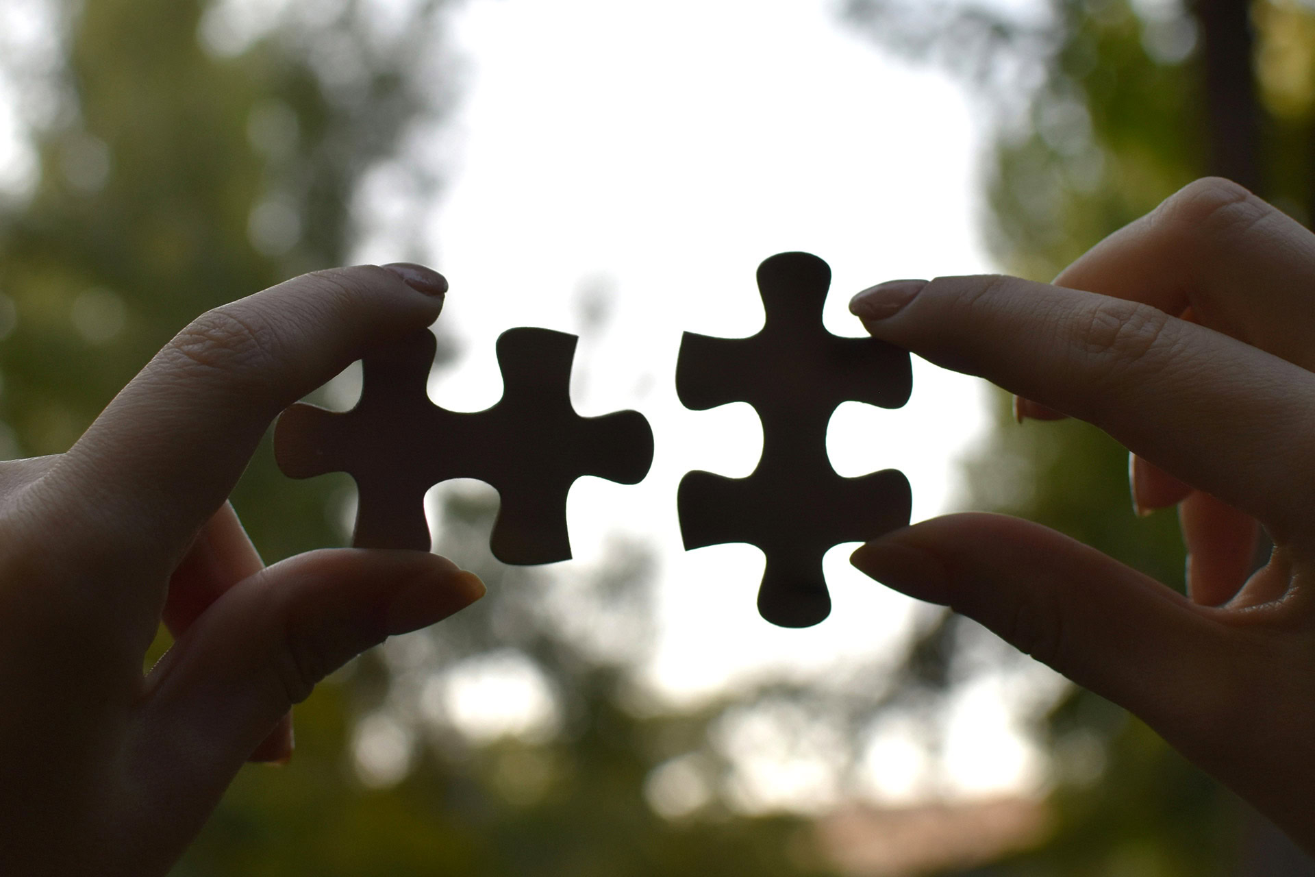 STRATEGIA E IMPEGNI