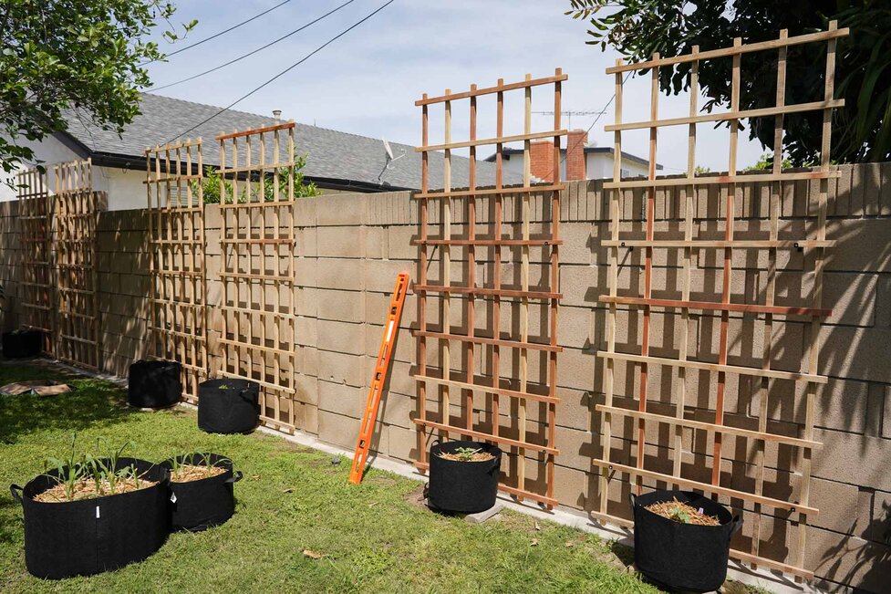 How To Build a Cattle Panel Trellis - Hungry Huy
