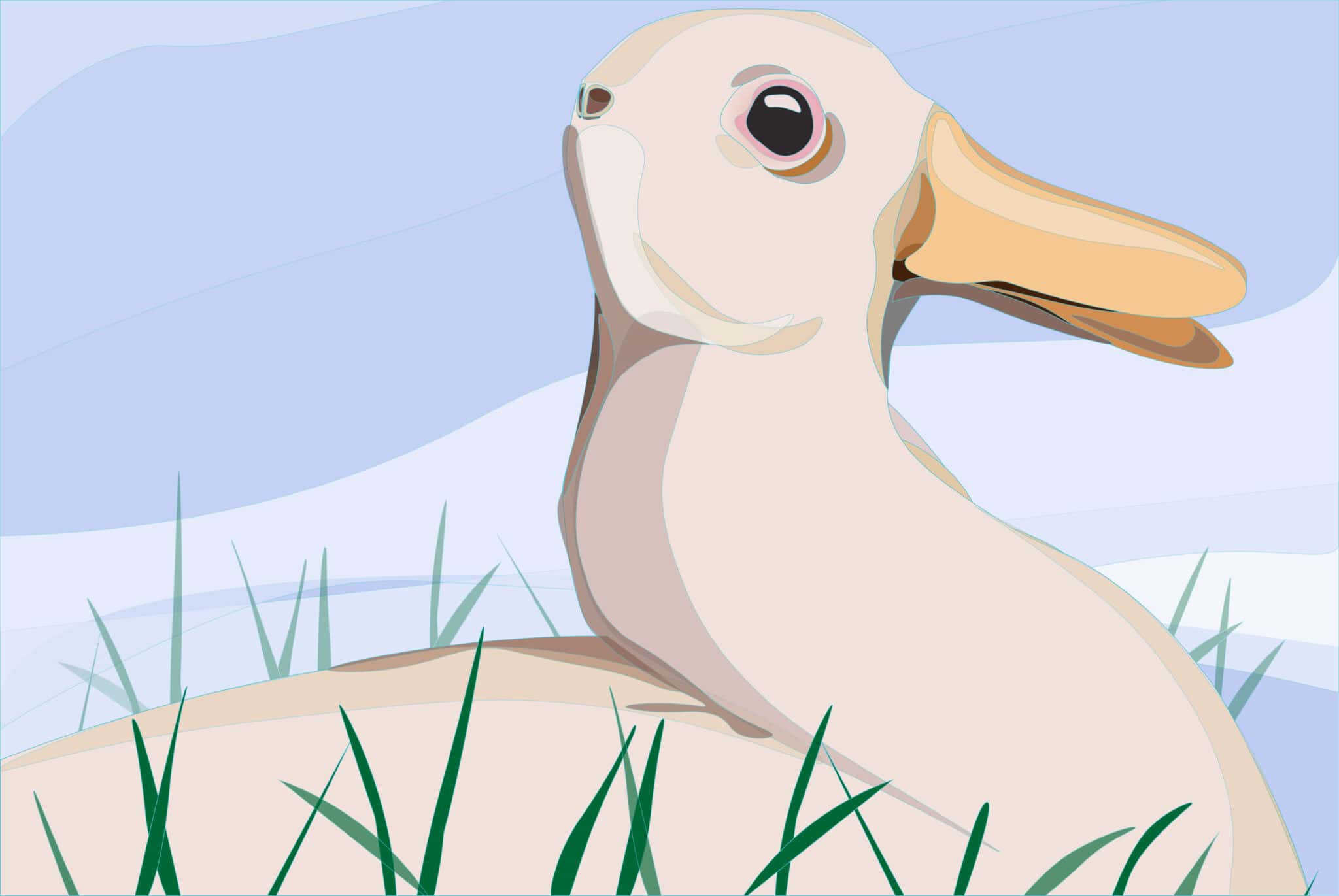 Rabbit Duck Illusion model-6170-tent-longway-leisure