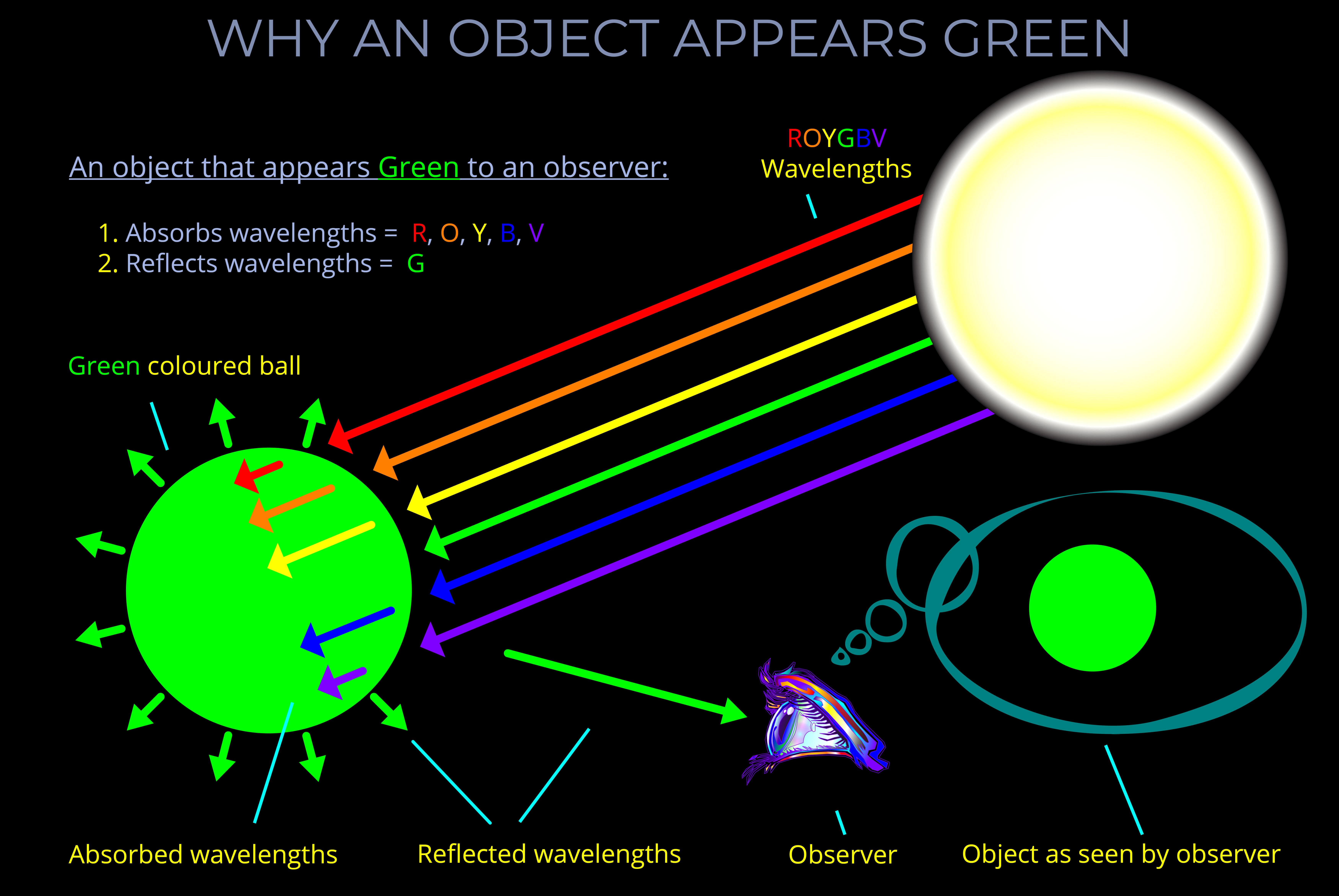 Why an Object Appears Green