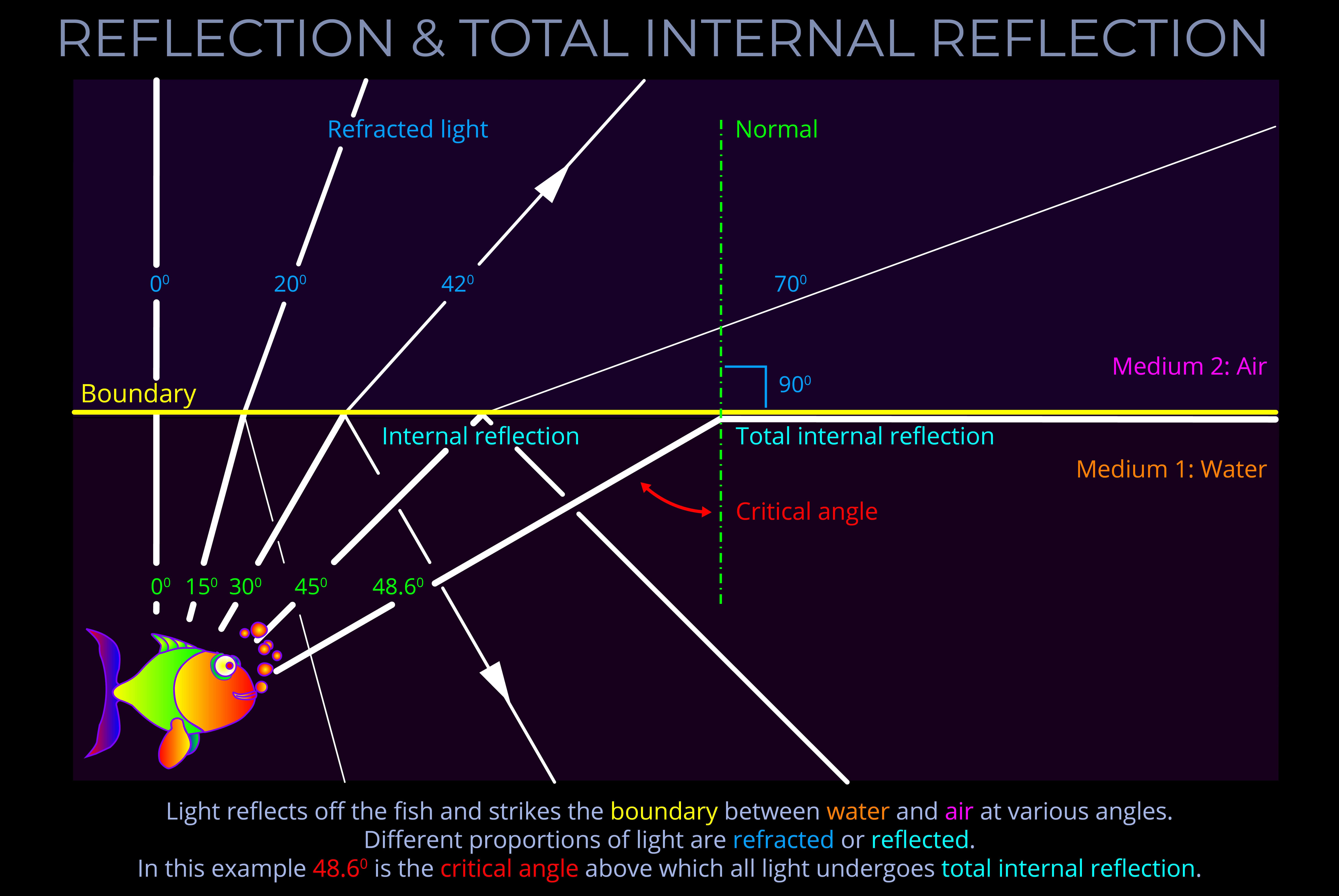 Reflection & Total Internal Reflection