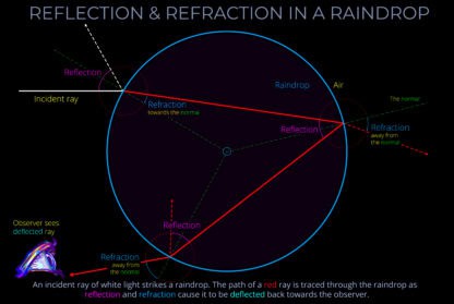 Reflection & Refraction in a Raindrop