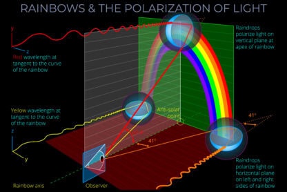 Rainbows & the Polarization of Light