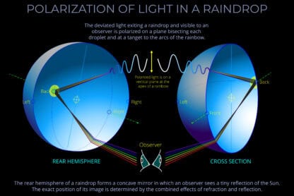 Polarization of Light in a Raindrop