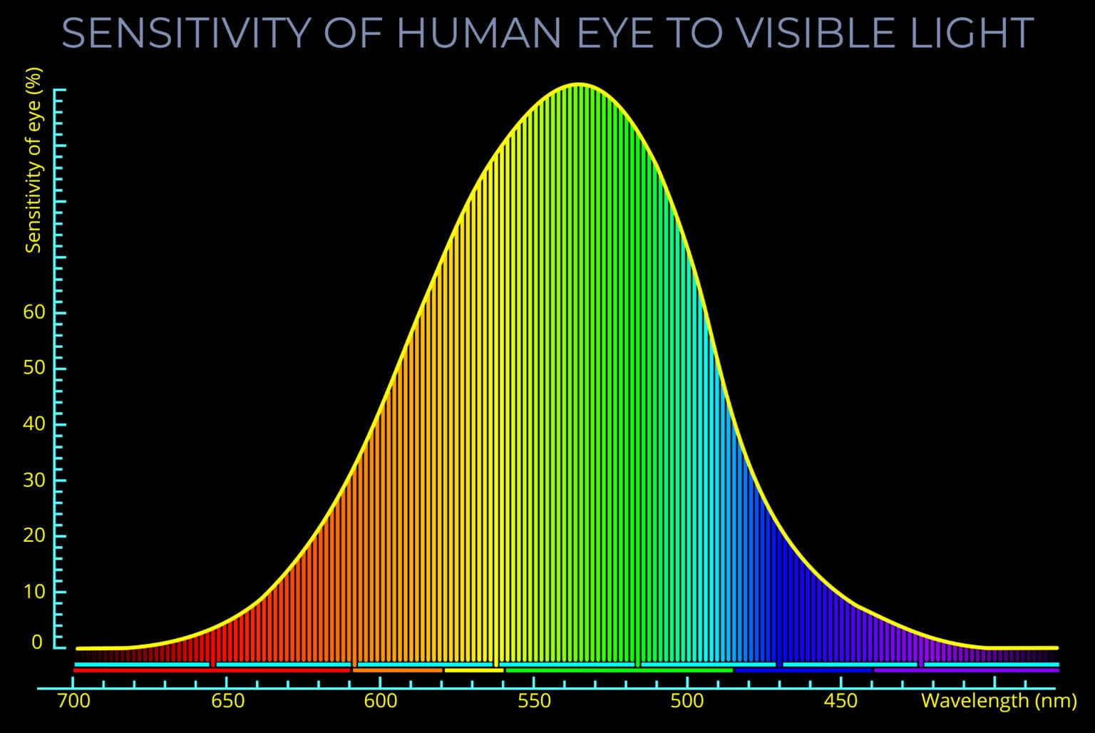 Sensitivity of Human Eye to Visible Light