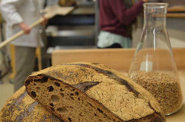 Learn How to Bake Bread at Skagit Valley's Bread Lab Learn How to Bake Bread at Skagit Valley's Bread Lab