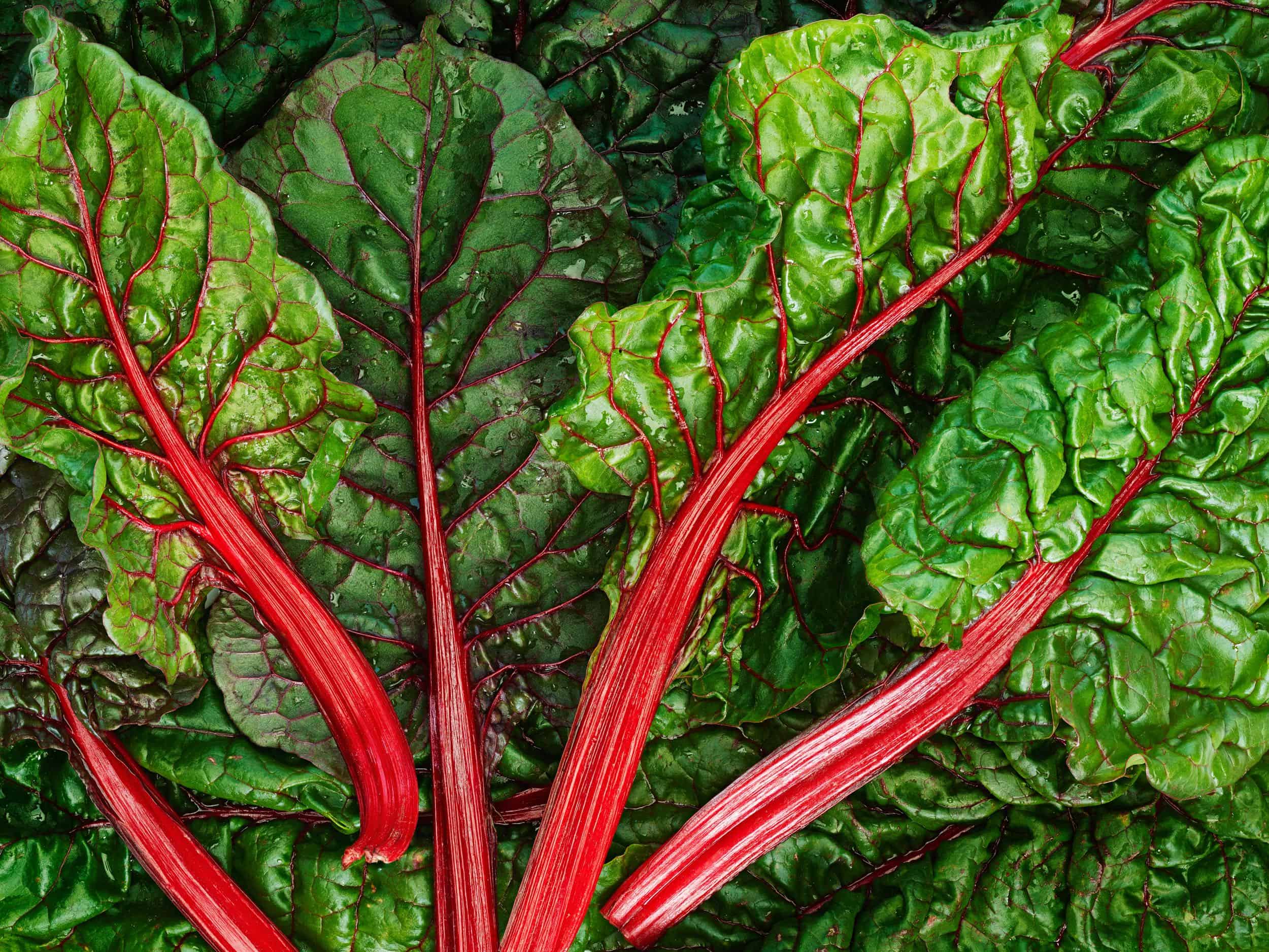 Chard-pic Chard-pic