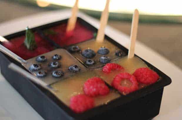 bokapopsicletray bokapopsicletray