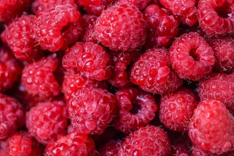 Best Places To Pick Berries Near Seattle Seattle magazine