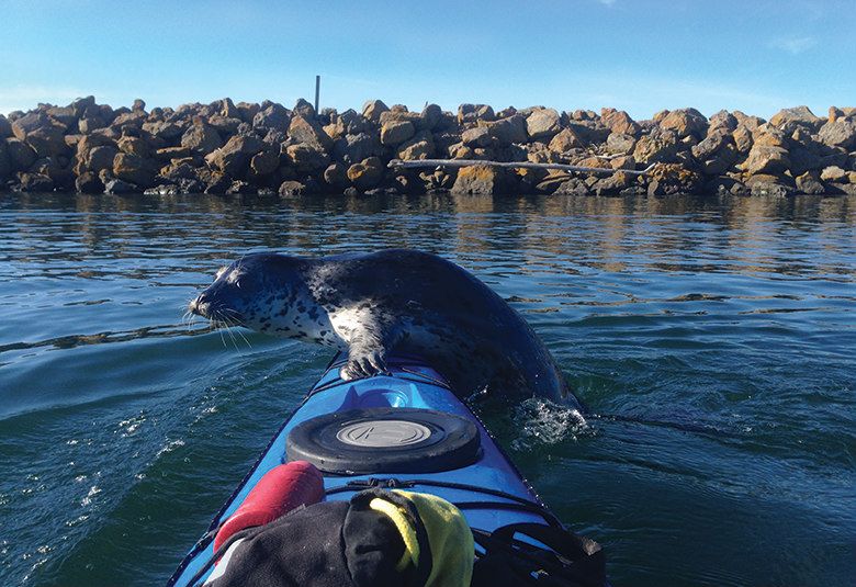 Seattle Summer Guide 2017: Hit the Water Seattle Summer Guide 2017: Hit the Water
