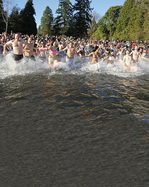 The Polar Plunge: A How-To Guide