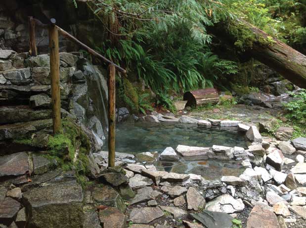 A hot spring in the woods with a waterfall.