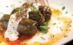 Bistro Turkuaz's Must-try Dolmades