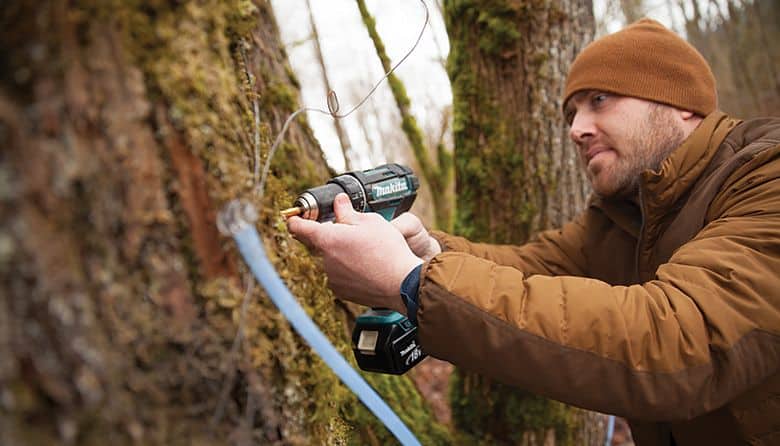 This Washington Farm is Bringing the Maple Syrup Industry to the West Coast