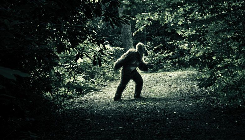 How to Hunt for Bigfoot in Washington State