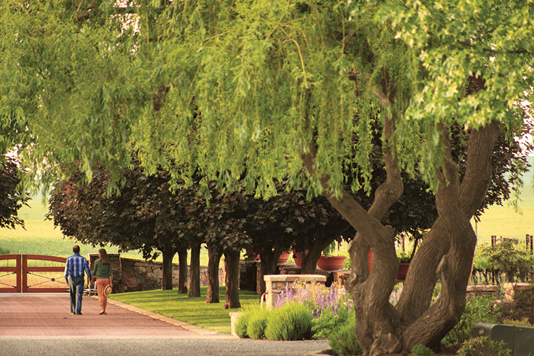 The 7 Best Wine Destinations in the Pacific Northwest