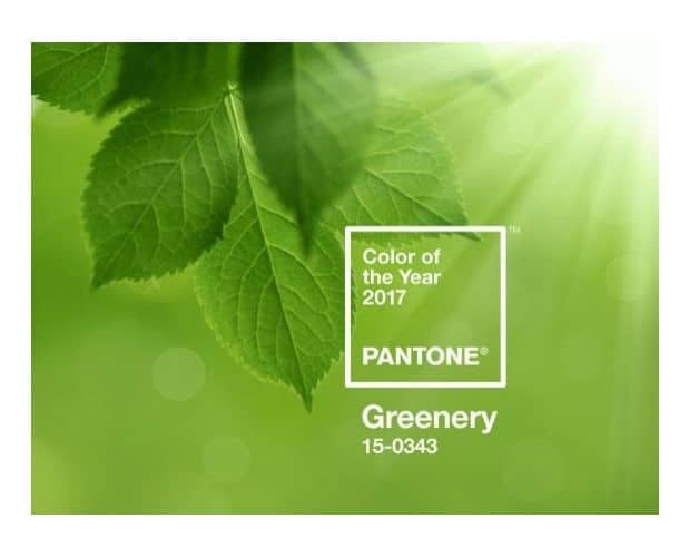 Meet Greenery, Pantone’s 2017 Color of the Year