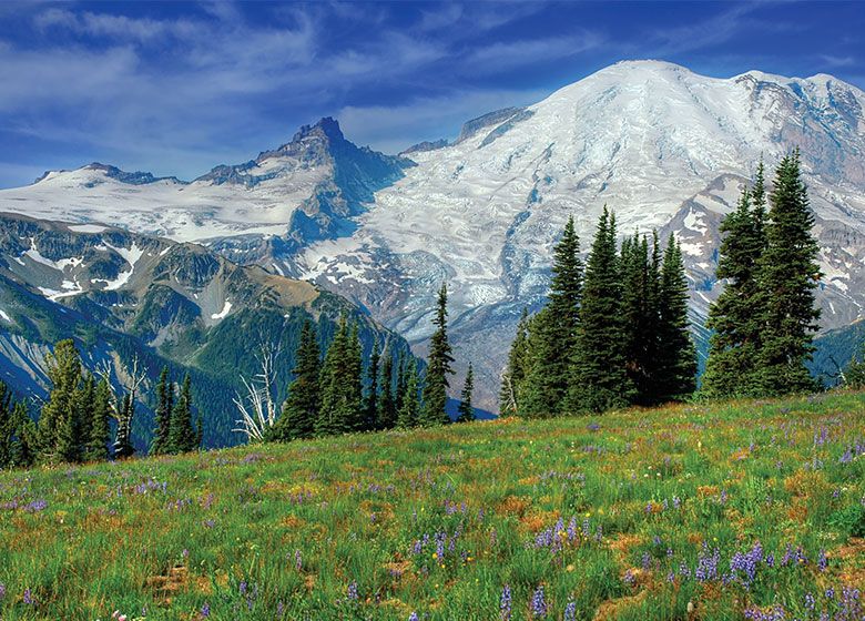 There's a Lot to Do En Route to Mount Rainier