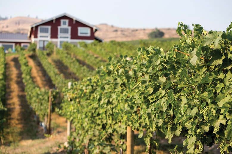 A Washington Area Better Known for Jet Skis Has Become a Legit Wine Region