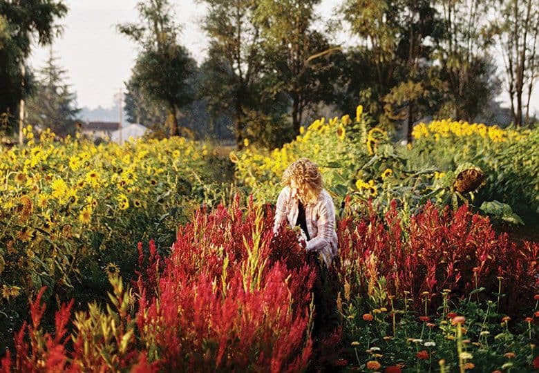 The 'Farmer Florist' is the Northwest's Newest Bumper Crop